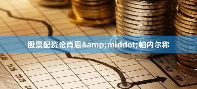 股票配资论肖恩&middot;帕内尔称